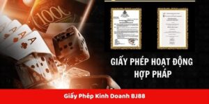 Giấy phép kinh doanh