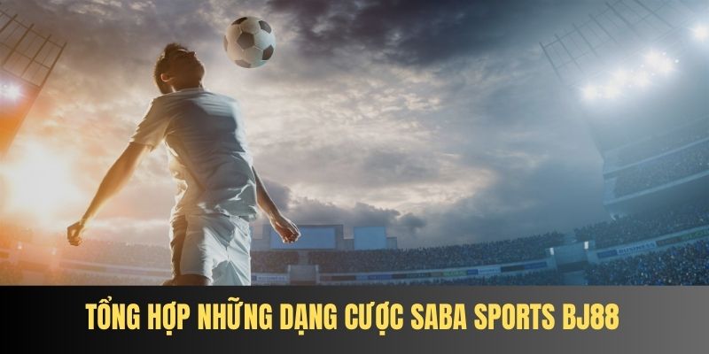 Lợi ích thưởng hấp dẫn cho thành viên có khoản đăng ký